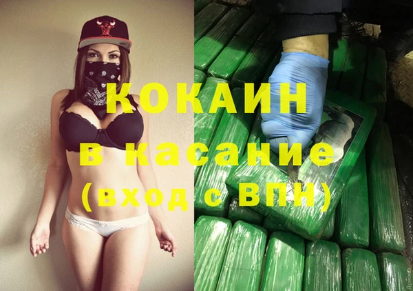 твердый Абаза